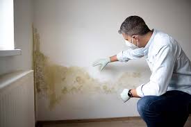 Environmental Consulting for Mold Prevention in Apex, NC